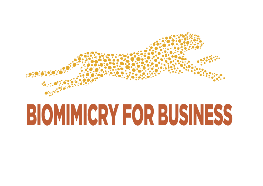 Biomimicry For Business